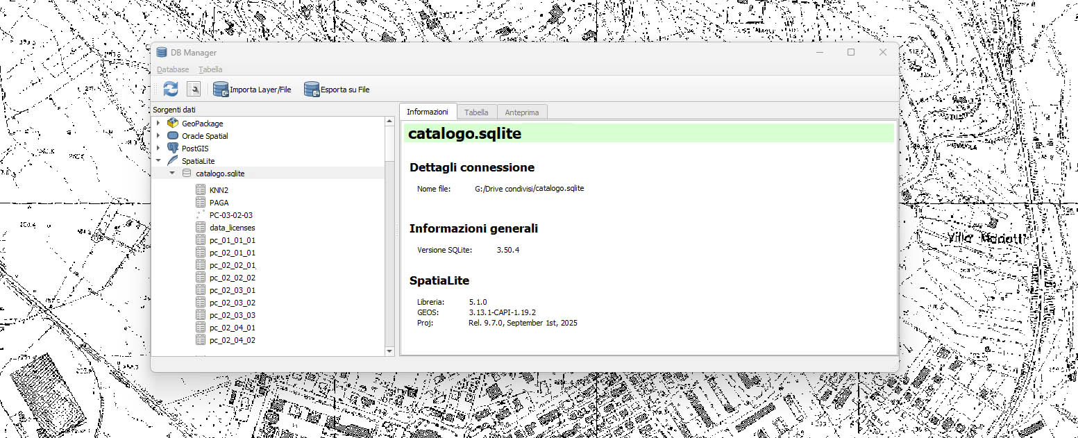 Standardizzazione e Ottimizzazione GeoDatabase