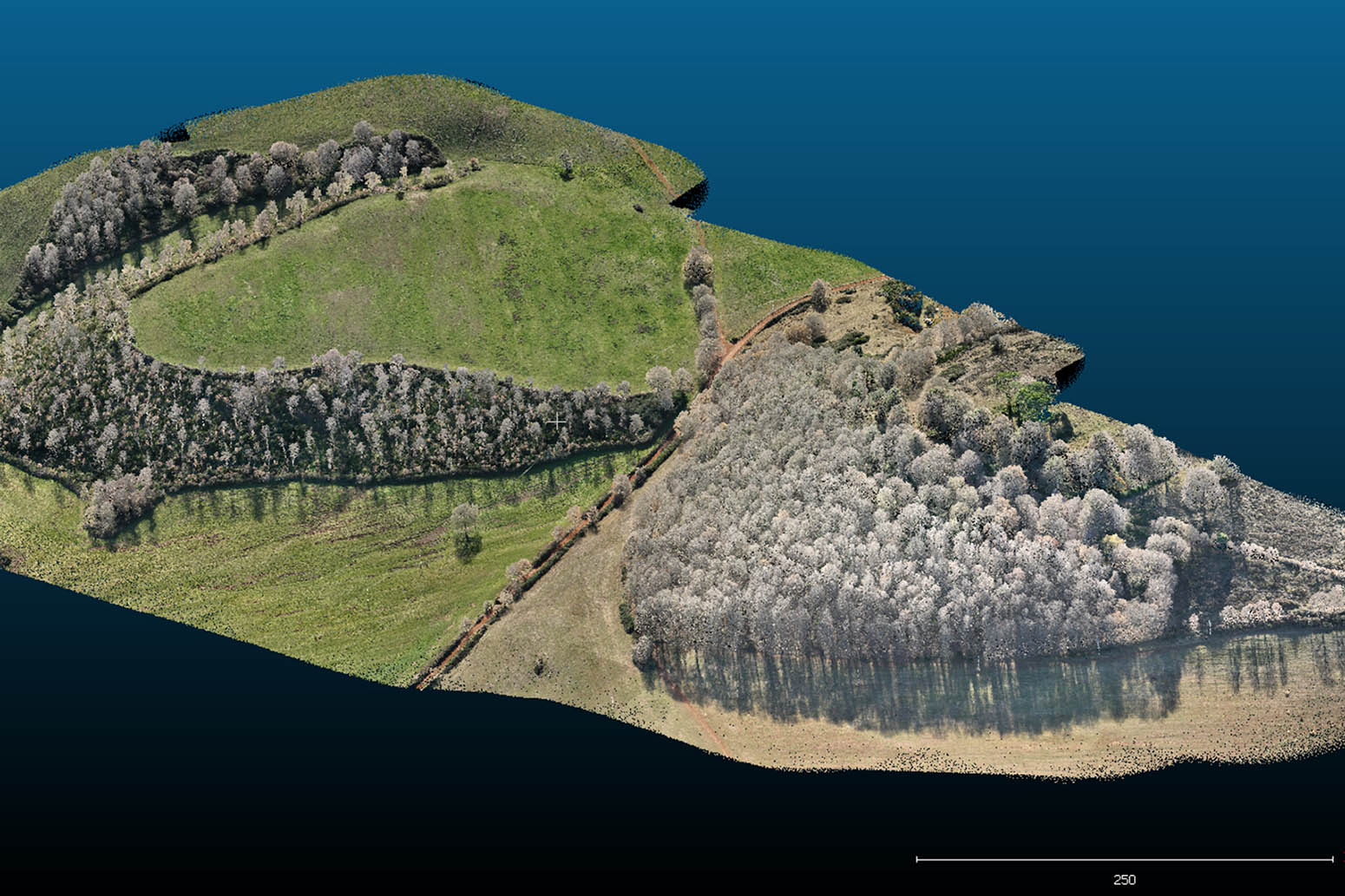 Analisi forestale LiDAR Case study - Analisi forestale LiDAR